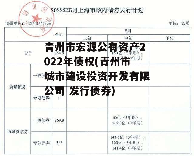 青州市宏源公有资产2022年债权(青州市城市建设投资开发有限公司 发行债券)