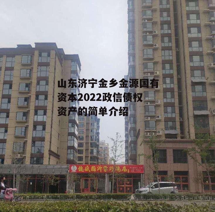 山东济宁金乡金源国有资本2022政信债权资产的简单介绍