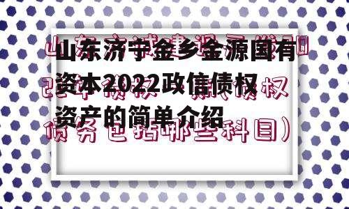 山东济宁金乡金源国有资本2022政信债权资产的简单介绍