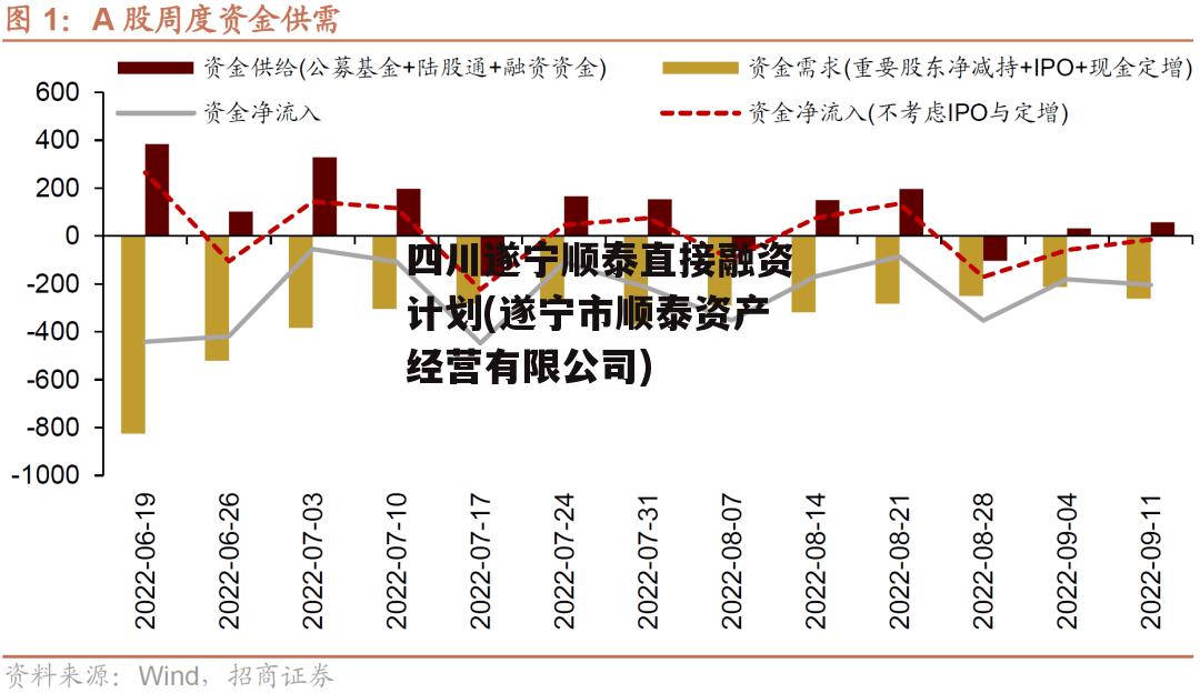 四川遂宁顺泰直接融资计划(遂宁市顺泰资产经营有限公司)