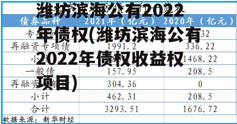 潍坊滨海公有2022年债权(潍坊滨海公有2022年债权收益权项目)