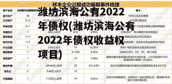 潍坊滨海公有2022年债权(潍坊滨海公有2022年债权收益权项目)