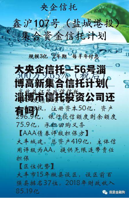 大央企信托—56号淄博高新集合信托计划(淄博市信托投资公司还有吗)