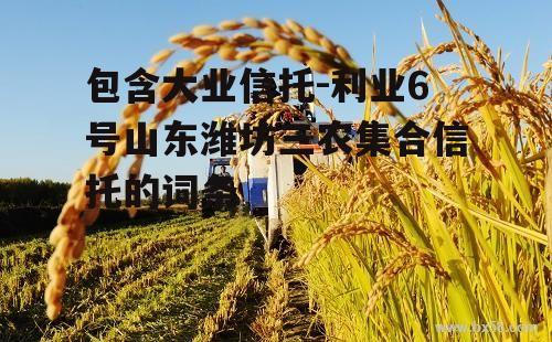 包含大业信托-利业6号山东潍坊三农集合信托的词条