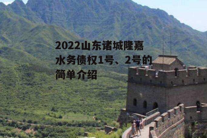 2022山东诸城隆嘉水务债权1号、2号的简单介绍