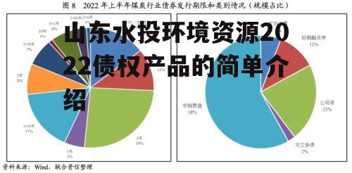 山东水投环境资源2022债权产品的简单介绍