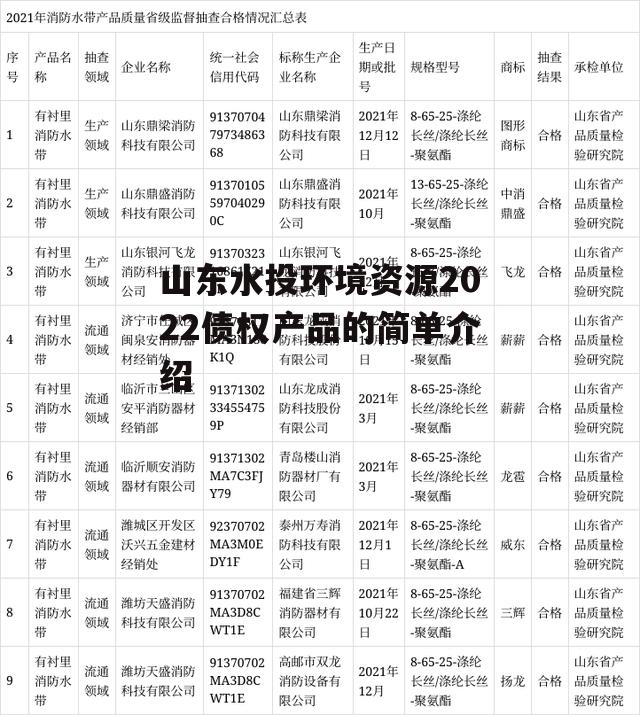 山东水投环境资源2022债权产品的简单介绍