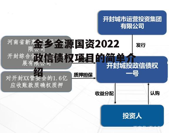 金乡金源国资2022政信债权项目的简单介绍