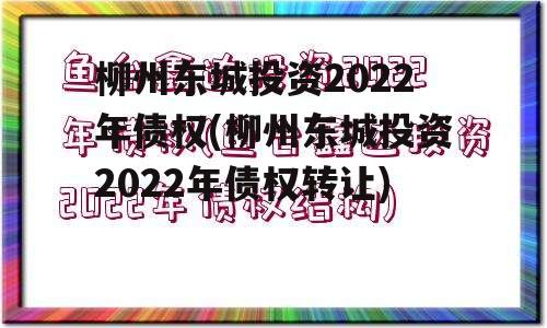 柳州东城投资2022年债权(柳州东城投资2022年债权转让)