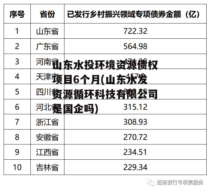 山东水投环境资源债权项目6个月(山东水发资源循环科技有限公司是国企吗)