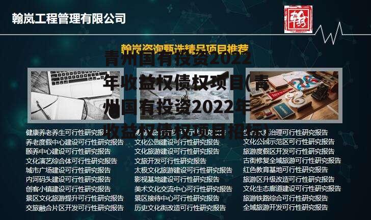 青州国有投资2022年收益权债权项目(青州国有投资2022年收益权债权项目招标)