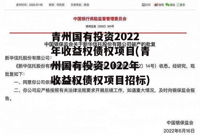 青州国有投资2022年收益权债权项目(青州国有投资2022年收益权债权项目招标)