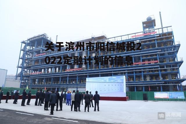 关于滨州市阳信城投2022定融计划的信息