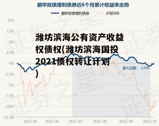 潍坊滨海公有资产收益权债权(潍坊滨海国投2021债权转让计划)