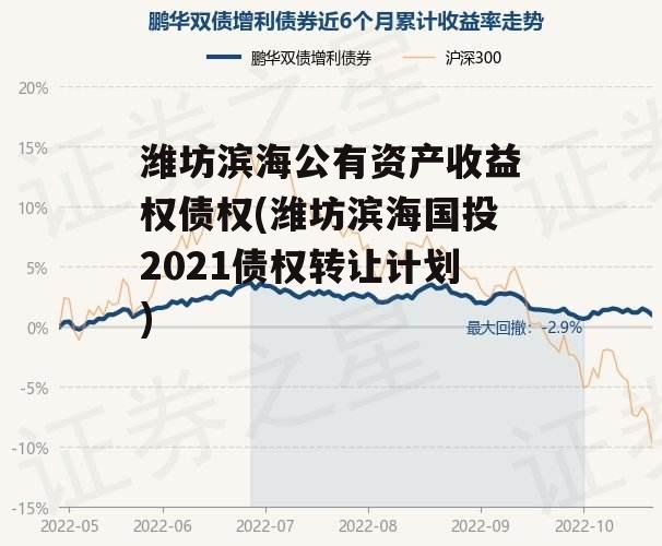 潍坊滨海公有资产收益权债权(潍坊滨海国投2021债权转让计划)