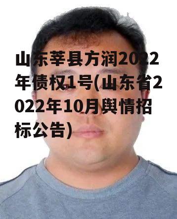 山东莘县方润2022年债权1号(山东省2022年10月舆情招标公告)