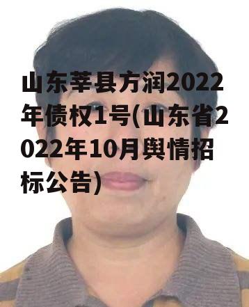 山东莘县方润2022年债权1号(山东省2022年10月舆情招标公告)