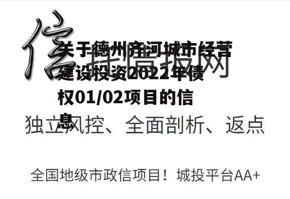 关于德州齐河城市经营建设投资2022年债权01/02项目的信息