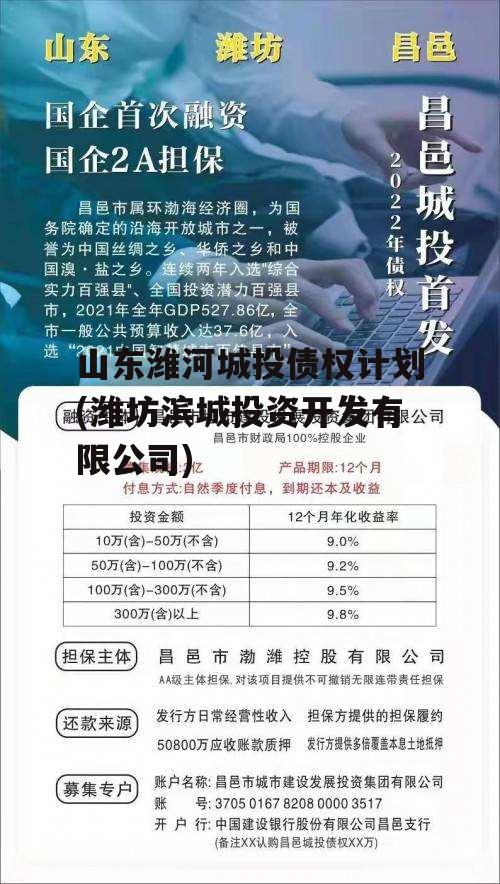 山东潍河城投债权计划(潍坊滨城投资开发有限公司)