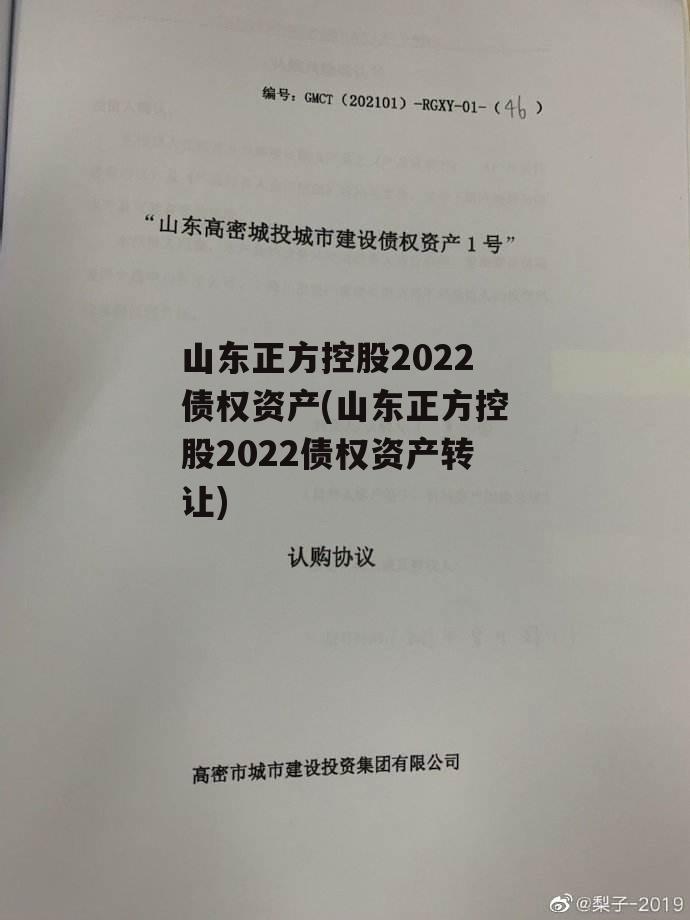 山东正方控股2022债权资产(山东正方控股2022债权资产转让)