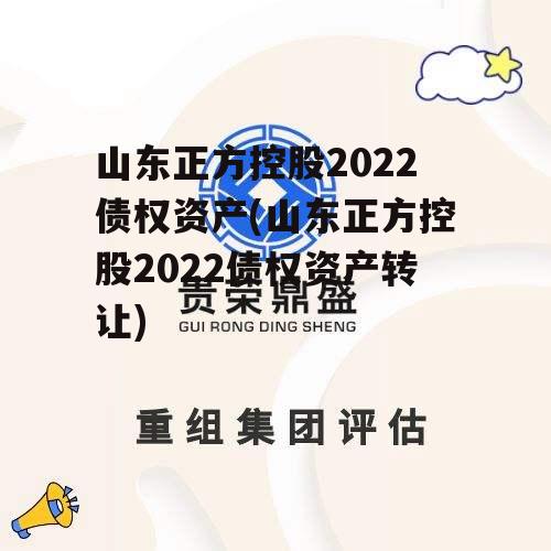 山东正方控股2022债权资产(山东正方控股2022债权资产转让)