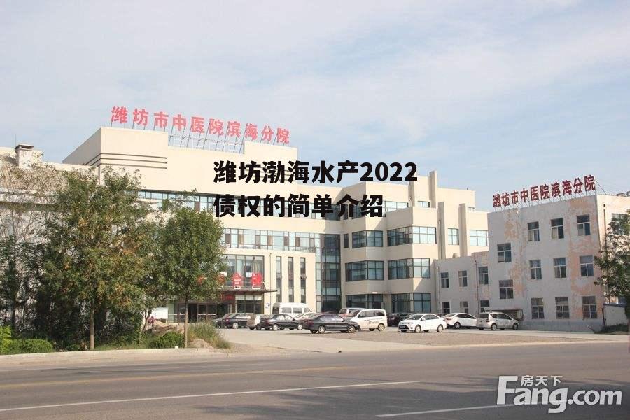 潍坊渤海水产2022债权的简单介绍