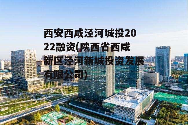 西安西咸泾河城投2022融资(陕西省西咸新区泾河新城投资发展有限公司)