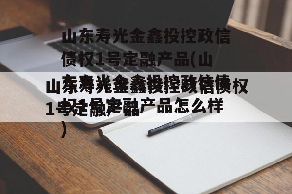 山东寿光金鑫投控政信债权1号定融产品(山东寿光金鑫投控政信债权1号定融产品怎么样)