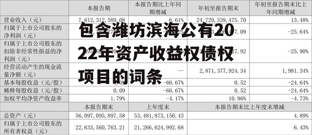 包含潍坊滨海公有2022年资产收益权债权项目的词条