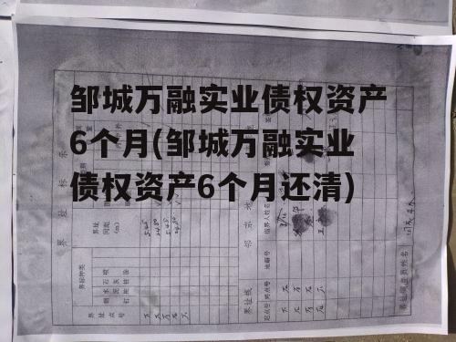 邹城万融实业债权资产6个月(邹城万融实业债权资产6个月还清)