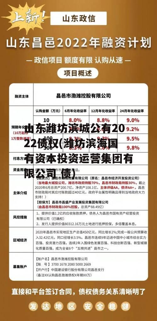 山东潍坊滨城公有2022债权(潍坊滨海国有资本投资运营集团有限公司 债)