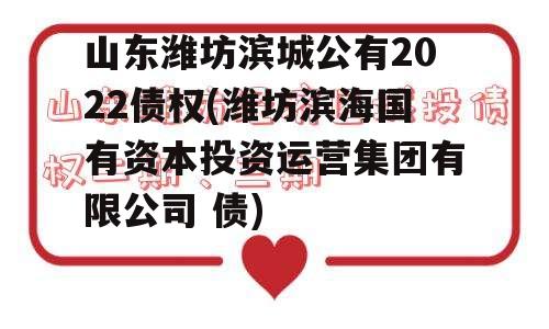 山东潍坊滨城公有2022债权(潍坊滨海国有资本投资运营集团有限公司 债)