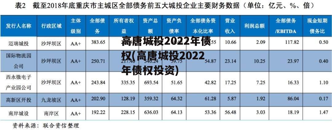 高唐城投2022年债权(高唐城投2022年债权投资)