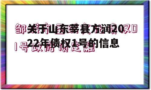 关于山东莘县方润2022年债权1号的信息