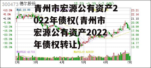 青州市宏源公有资产2022年债权(青州市宏源公有资产2022年债权转让)