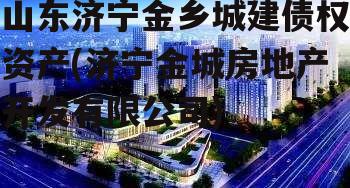 山东济宁金乡城建债权资产(济宁金城房地产开发有限公司)