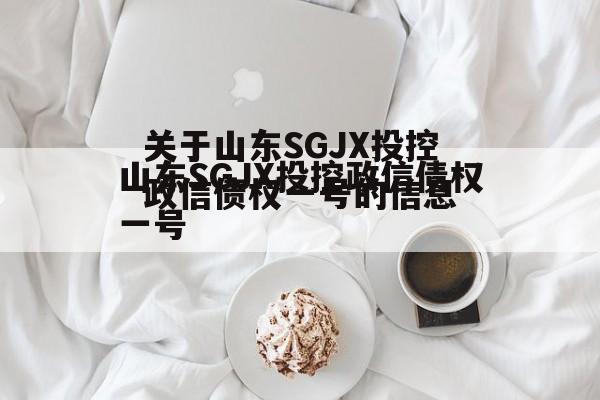 关于山东SGJX投控政信债权一号的信息