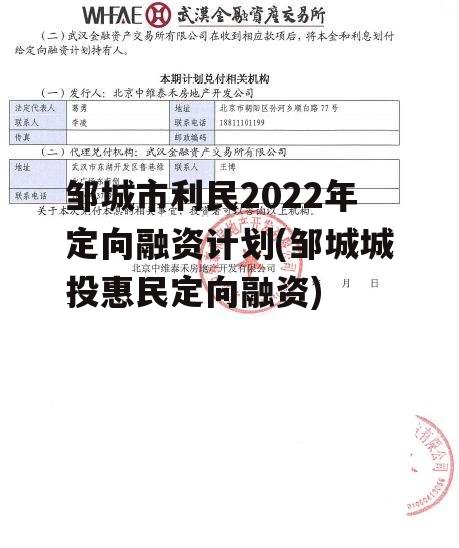 邹城市利民2022年定向融资计划(邹城城投惠民定向融资)