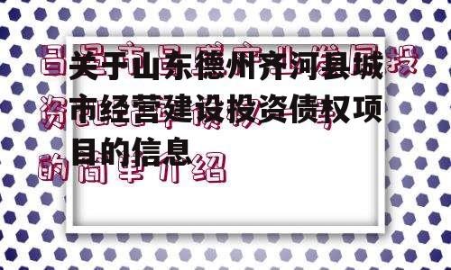 关于山东德州齐河县城市经营建设投资债权项目的信息