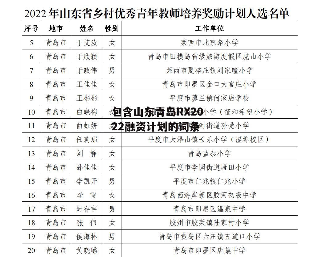 包含山东青岛RX2022融资计划的词条