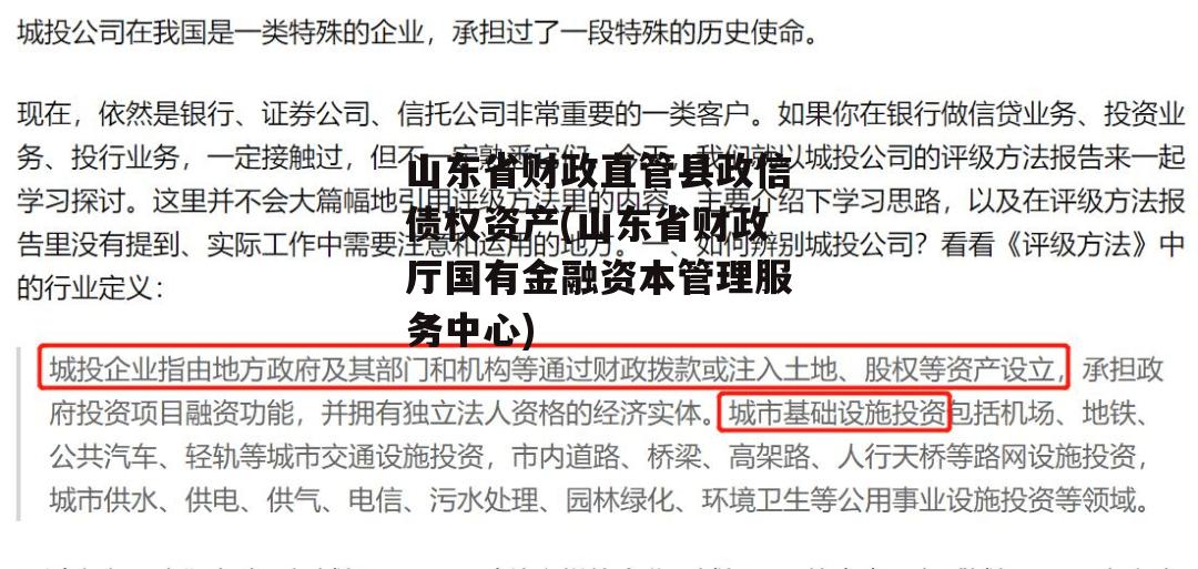 山东省财政直管县政信债权资产(山东省财政厅国有金融资本管理服务中心)