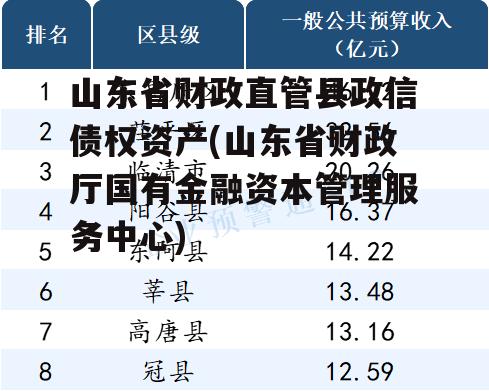 山东省财政直管县政信债权资产(山东省财政厅国有金融资本管理服务中心)