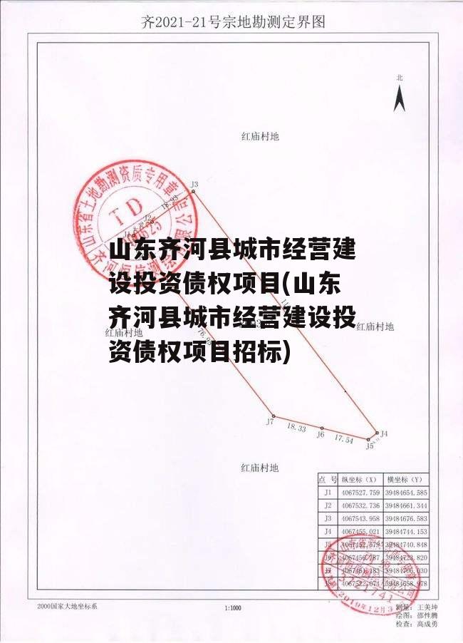 山东齐河县城市经营建设投资债权项目(山东齐河县城市经营建设投资债权项目招标)