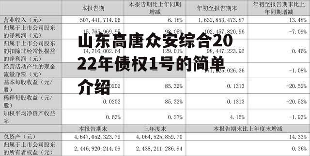 山东高唐众安综合2022年债权1号的简单介绍