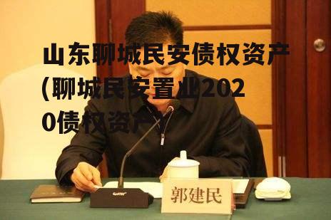 山东聊城民安债权资产(聊城民安置业2020债权资产)