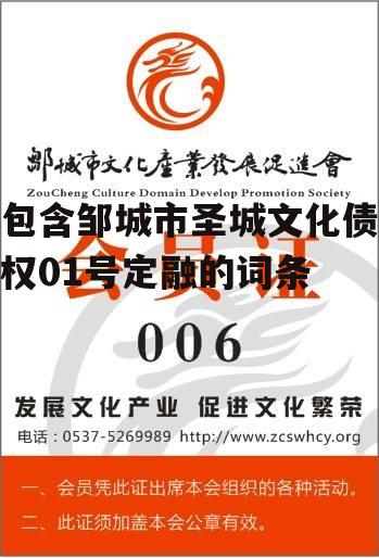 包含邹城市圣城文化债权01号定融的词条