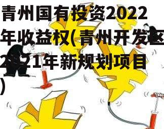 青州国有投资2022年收益权(青州开发区2021年新规划项目)