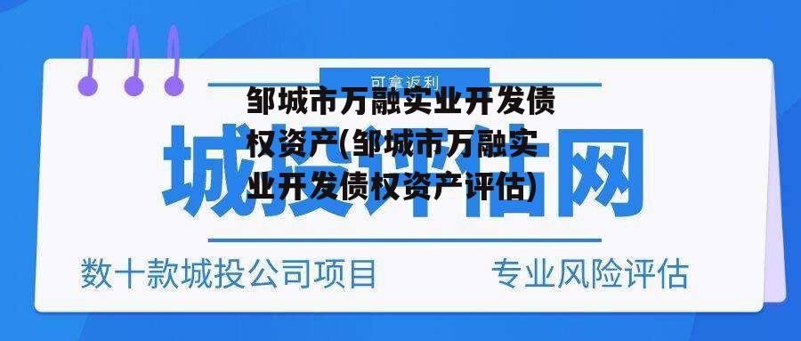 邹城市万融实业开发债权资产(邹城市万融实业开发债权资产评估)