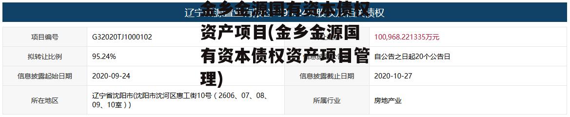 金乡金源国有资本债权资产项目(金乡金源国有资本债权资产项目管理)