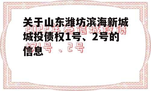 关于山东潍坊滨海新城城投债权1号、2号的信息